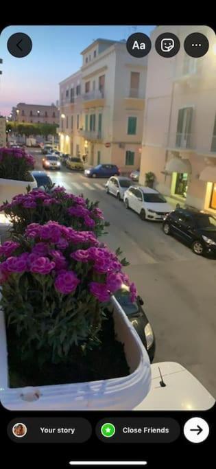 Mariagiulia Apartment
